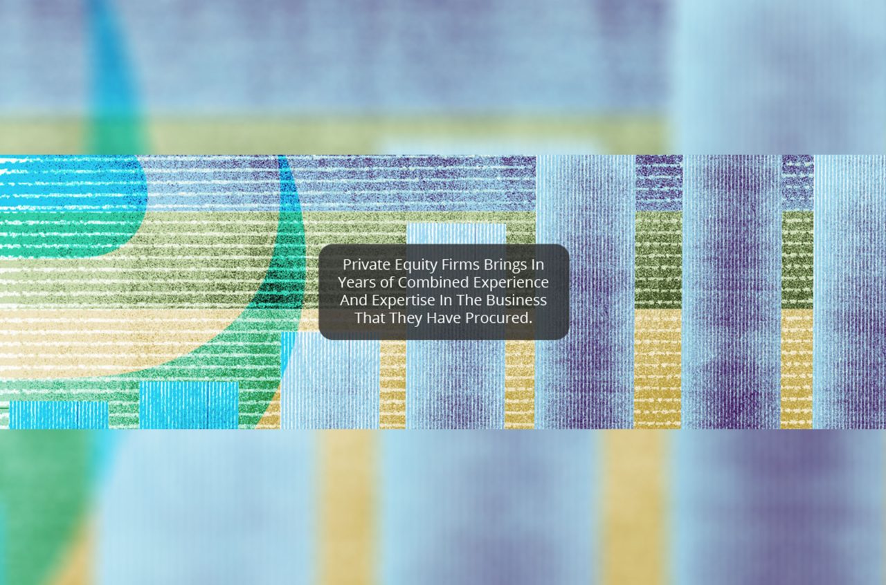 The Private Equity Boon