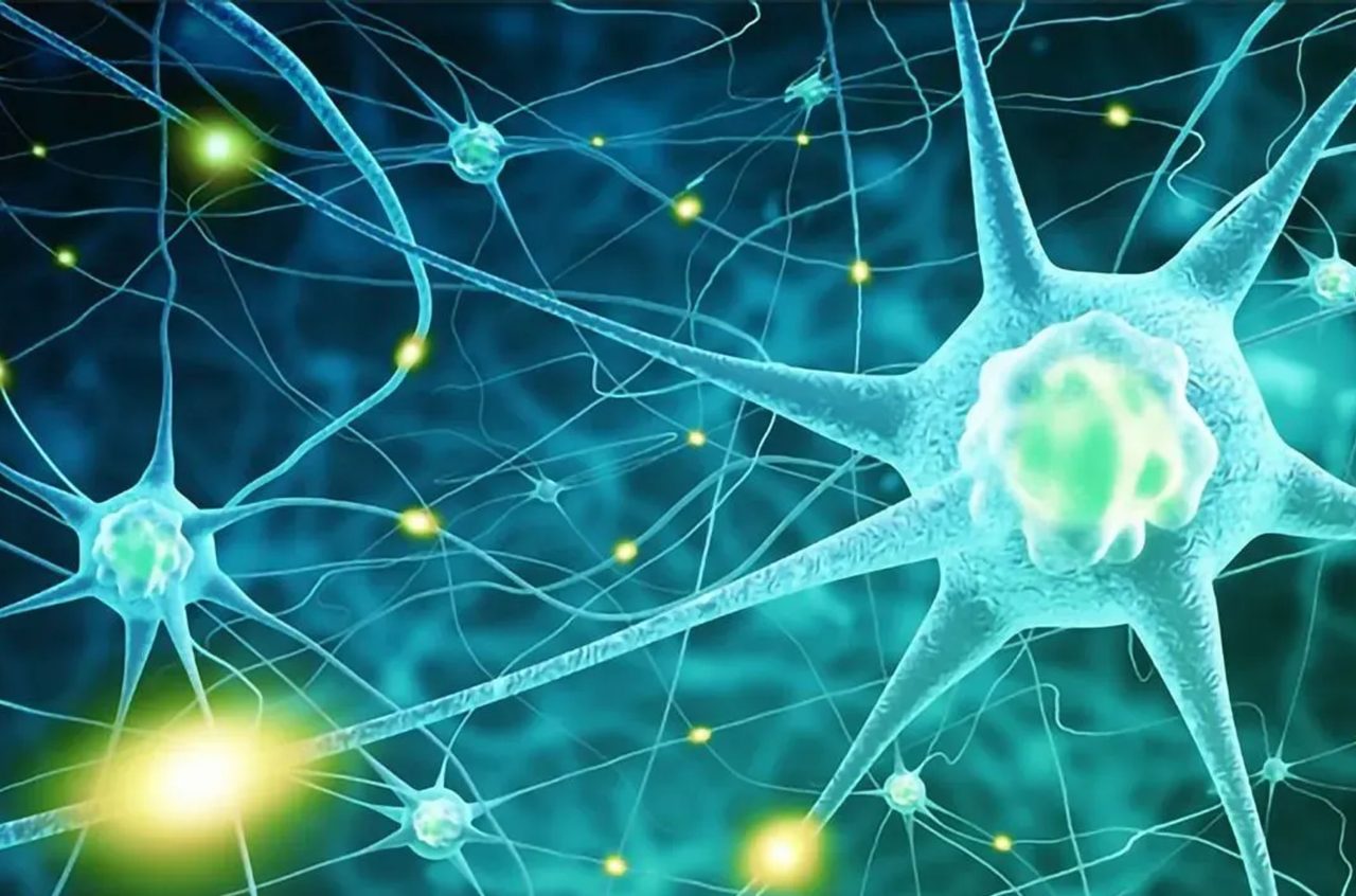 The Philosophy of Perpetual Transformation - OCS Services India